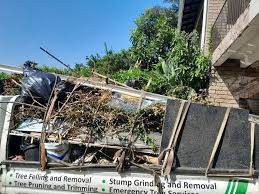 Best Shed Removal  in Stratford, TX